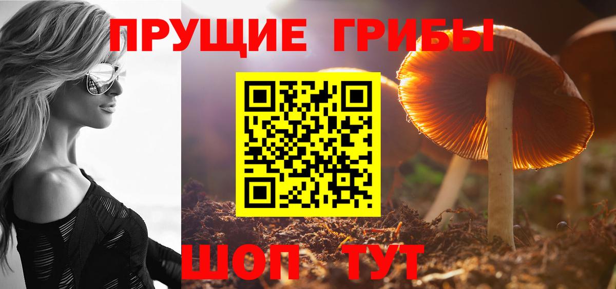 Дубна  Галлюциногенные грибы Psilocybe  Вход с VPN 